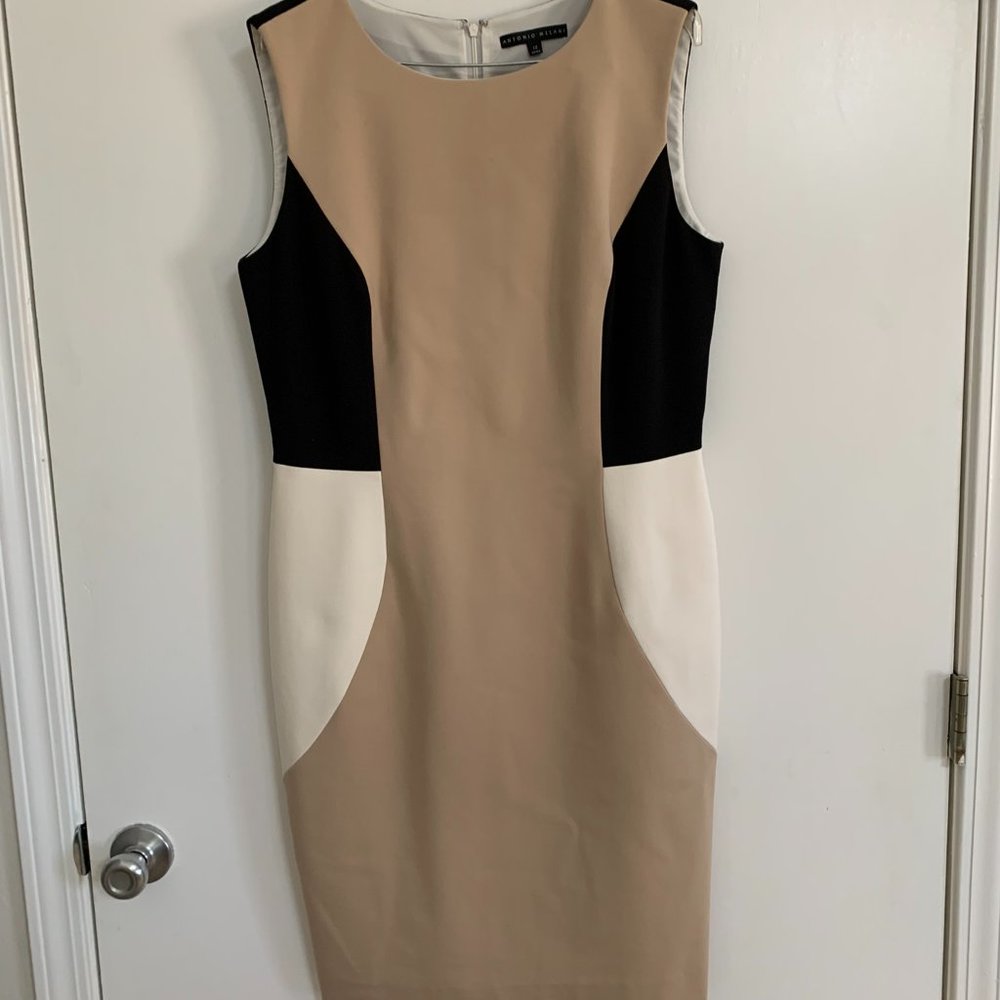 Antonio Melani color block sleeveless fully lined size 12 dress